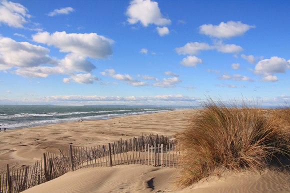 Camping Camargue - 62 - campings